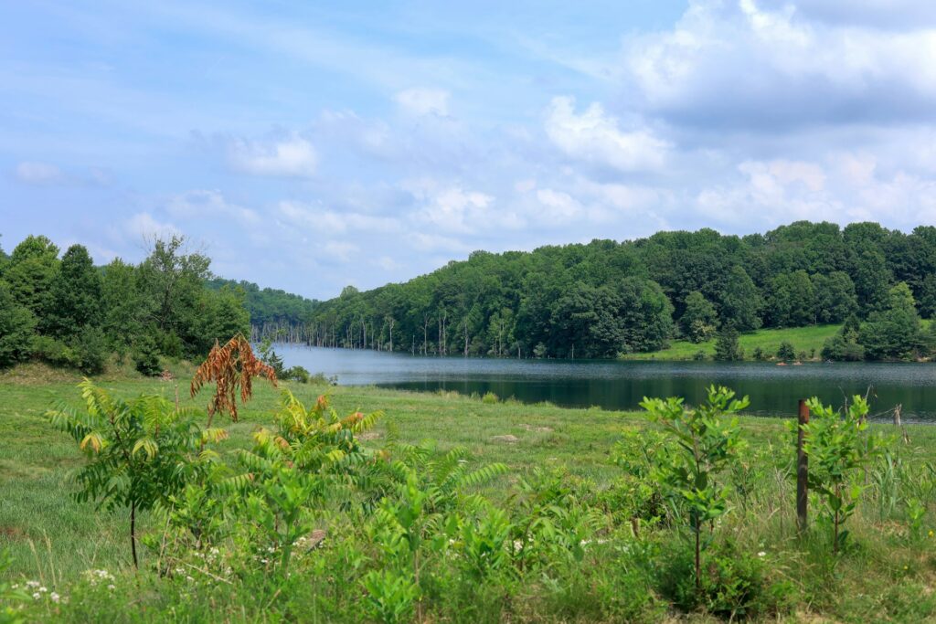 Morristown Limo & Airport Car Service - lake
